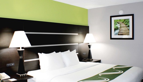 Suite estudio, 1 cama de matrimonio grande con sofá cama