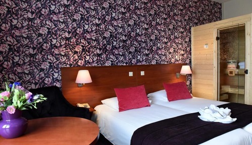 Habitación estándar doble, sauna