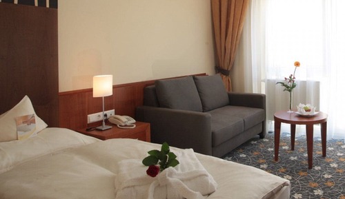 Habitación individual superior