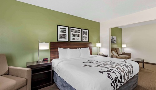 Habitación estándar, 1 cama de matrimonio grande, no fumadores