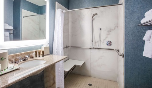 Habitación, 1 cama de matrimonio grande, no fumadores (Mobility,Hearing,Roll-In Shower)