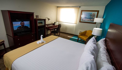 Habitación Business individual