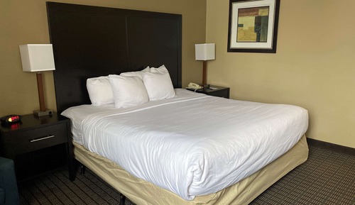 Habitación estándar, 1 cama de matrimonio grande, no fumadores, frigorífico y microondas