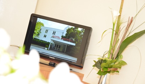 Habitación individual estándar