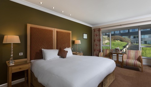 Habitación estándar doble, 1 cama doble