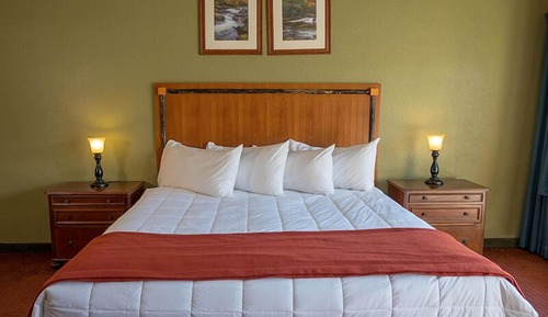 Habitación estándar, 1 cama de matrimonio grande