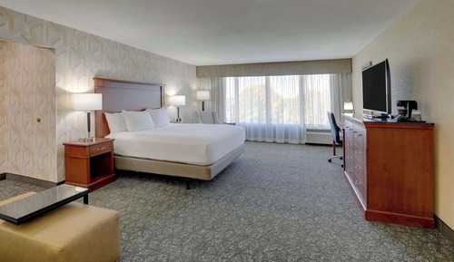 Habitación Deluxe, 1 cama de matrimonio grande con sofá cama, frigorífico y microondas