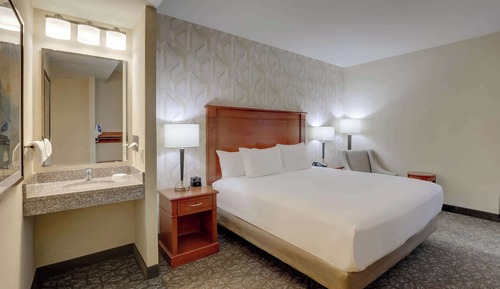 Habitación Deluxe, 1 cama de matrimonio grande, frigorífico y microondas (Roll in Shower)