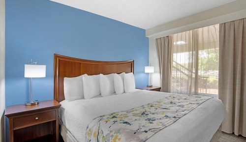 Suite, 1 cama de matrimonio grande, fumadores, frigorífico y microondas (with Sofabed)