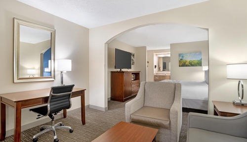 Suite, 1 cama de matrimonio grande, no fumadores, frigorífico y microondas (with Sofabed)