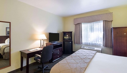 Habitación estándar, 1 cama de matrimonio grande, no fumadores