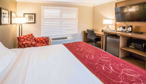 Habitación estándar, 1 cama de matrimonio grande, no fumadores