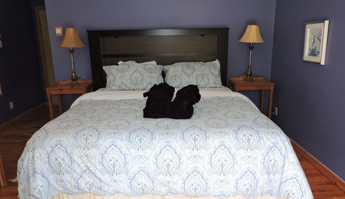 Suite, 1 cama de matrimonio grande, bañera de hidromasaje, vistas al río