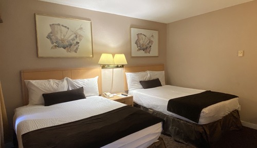 Efficiency, Habitación, 2 camas dobles, no fumadores