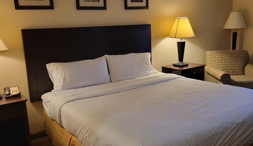 Suite (King Two Room)