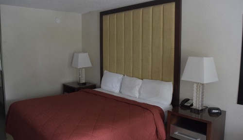 Habitación estándar, 1 cama de matrimonio grande (No Pets Allowed)