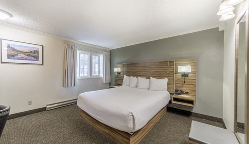 Habitación estándar, 1 cama de matrimonio grande