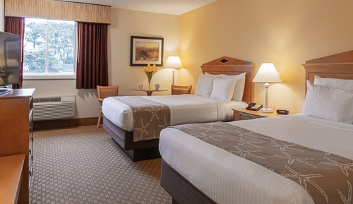 Habitación estándar doble, 2 camas dobles