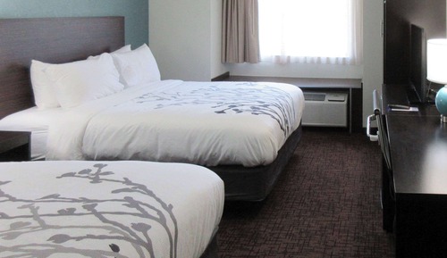 Habitación estándar, 2 camas de matrimonio, no fumadores