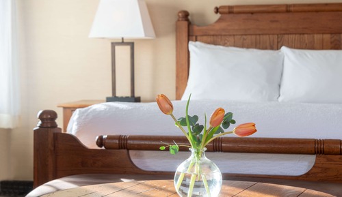 Habitación estándar, 1 cama de matrimonio, frigorífico (Shower Only;No Pets in room type)