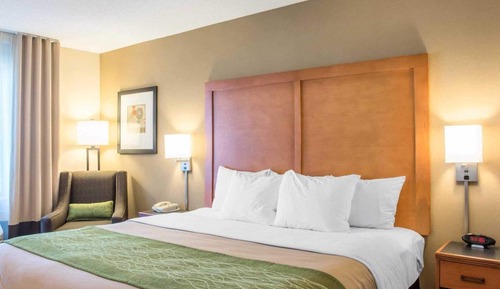 Suite, 1 cama de matrimonio grande, no fumadores