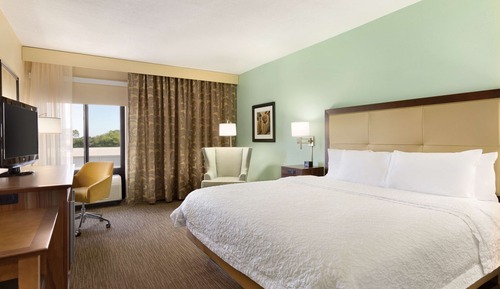 Suite, 1 cama de matrimonio grande, accesible para personas con discapacidad, no fumadores