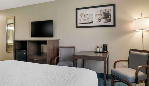 Habitación estándar, 2 camas de matrimonio, no fumadores, frigorífico