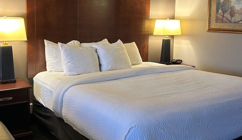 Suite, 1 cama de matrimonio grande, frigorífico y microondas, vistas al río