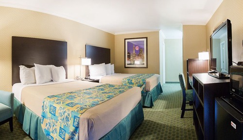 Habitación Deluxe, 2 camas de matrimonio (Pet Room, Ground floor)