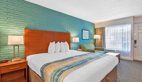 Habitación estándar, 1 cama de matrimonio grande, no fumadores, frigorífico y microondas