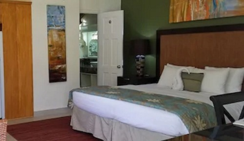 Estudio superior, 1 cama de matrimonio grande, cocina básica, vistas al jardín