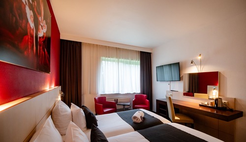 Habitación ejecutiva con 2 camas individuales