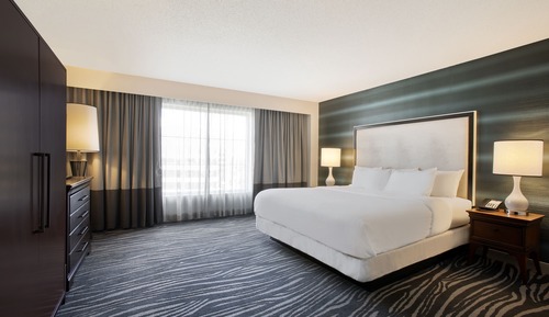 Suite, 1 cama de matrimonio grande, accesible para personas con discapacidad (Roll-in Shower)