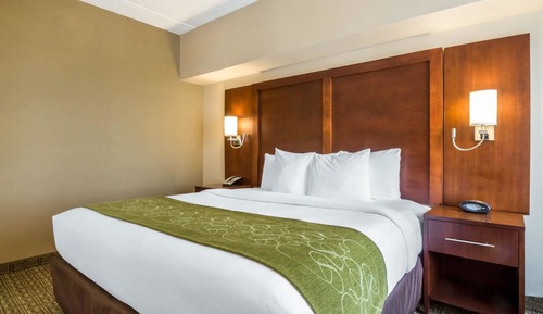 Suite, 1 cama de matrimonio grande, no fumadores