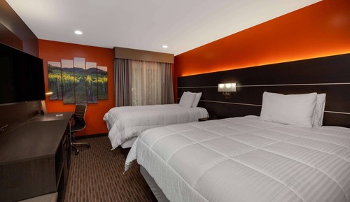 Habitación estándar, 2 camas de matrimonio, no fumadores