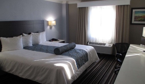 Habitación estándar, 1 cama de matrimonio grande, no fumadores, frigorífico y microondas