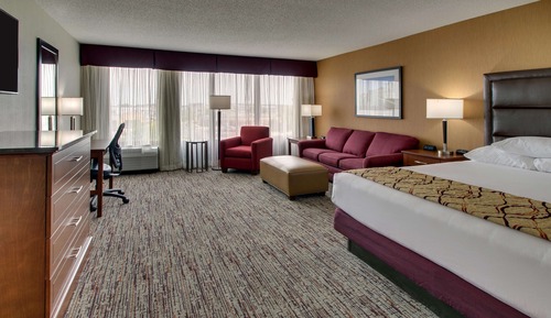 Habitación Deluxe, 1 cama de matrimonio grande con sofá cama, frigorífico y microondas (Sofabed)