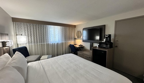 Habitación estándar, 1 cama de matrimonio grande, accesible para personas con discapacidad