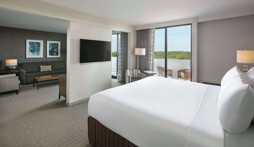 Suite, 1 cama de matrimonio grande con sofá cama