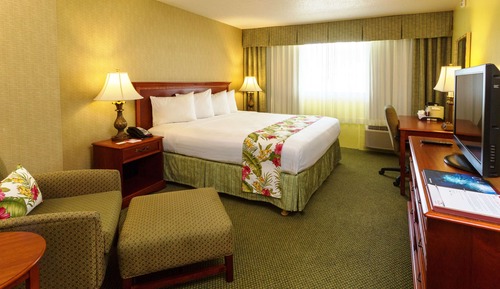 Habitación, 1 cama de matrimonio grande, no fumadores