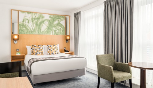 Habitación estándar, 1 cama doble