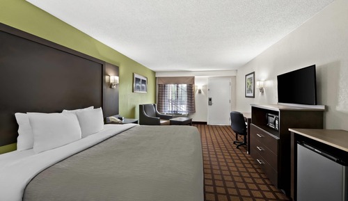 Habitación estándar, 1 cama de matrimonio grande, no fumadores