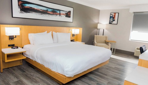 Habitación, 1 cama de matrimonio grande