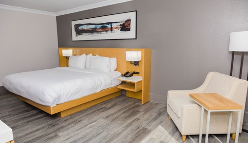 Suite, 1 cama de matrimonio grande con sofá cama