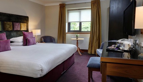 Habitación estándar, 1 cama doble, no fumadores