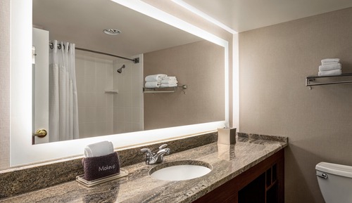 Habitación estándar, 1 cama de matrimonio grande