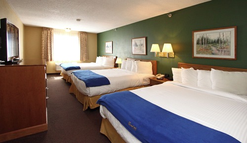 Suite, varias camas (Triple Queen)