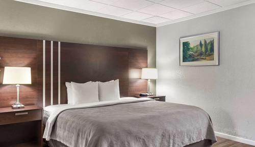 Habitación estándar, 1 cama de matrimonio grande, no fumadores (No Pets)