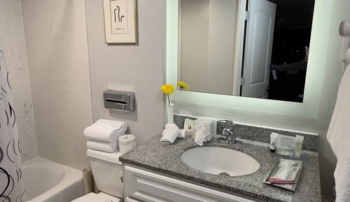 Habitación Deluxe, 2 camas de matrimonio, bañera (Non Smoking 2 Queen Room- Bathtub)