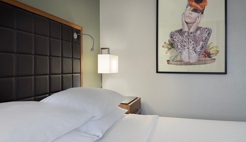 Habitación Deluxe, 1 cama doble, no fumadores